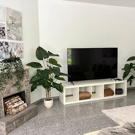 Amazing House In *